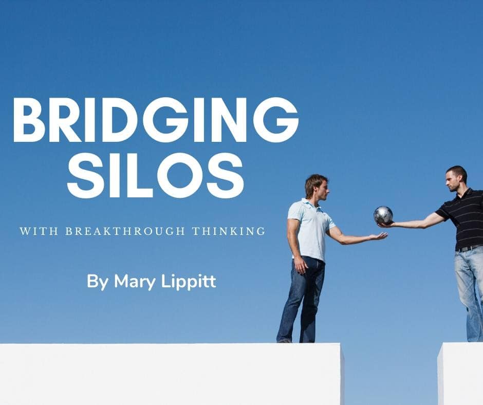 Bridging Silos